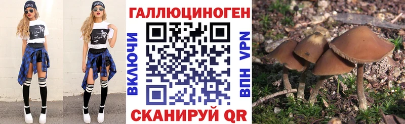 Псилоцибиновые грибы прущие грибы  Тайга 